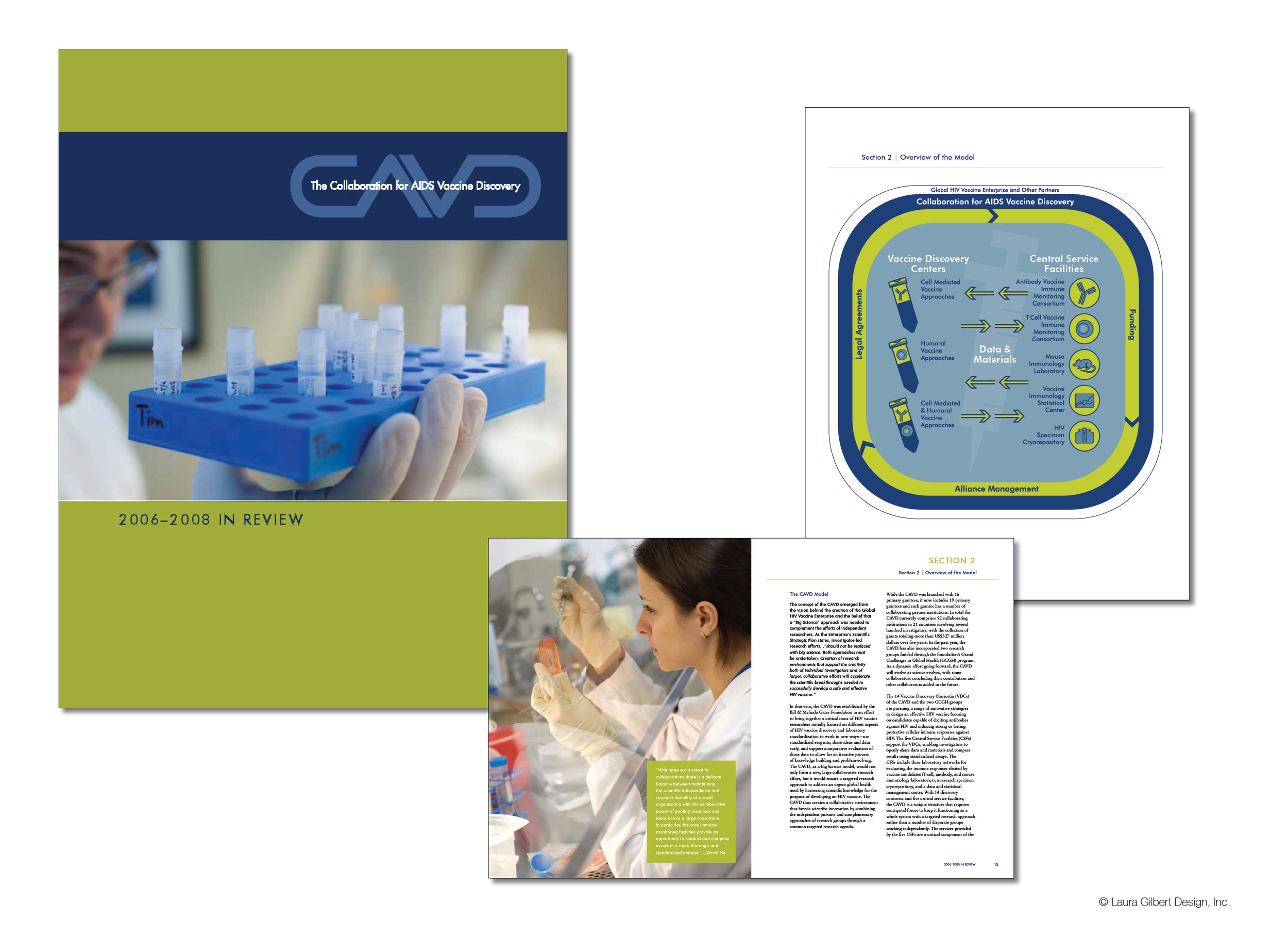 Annual report design for a foundation-supported initiative