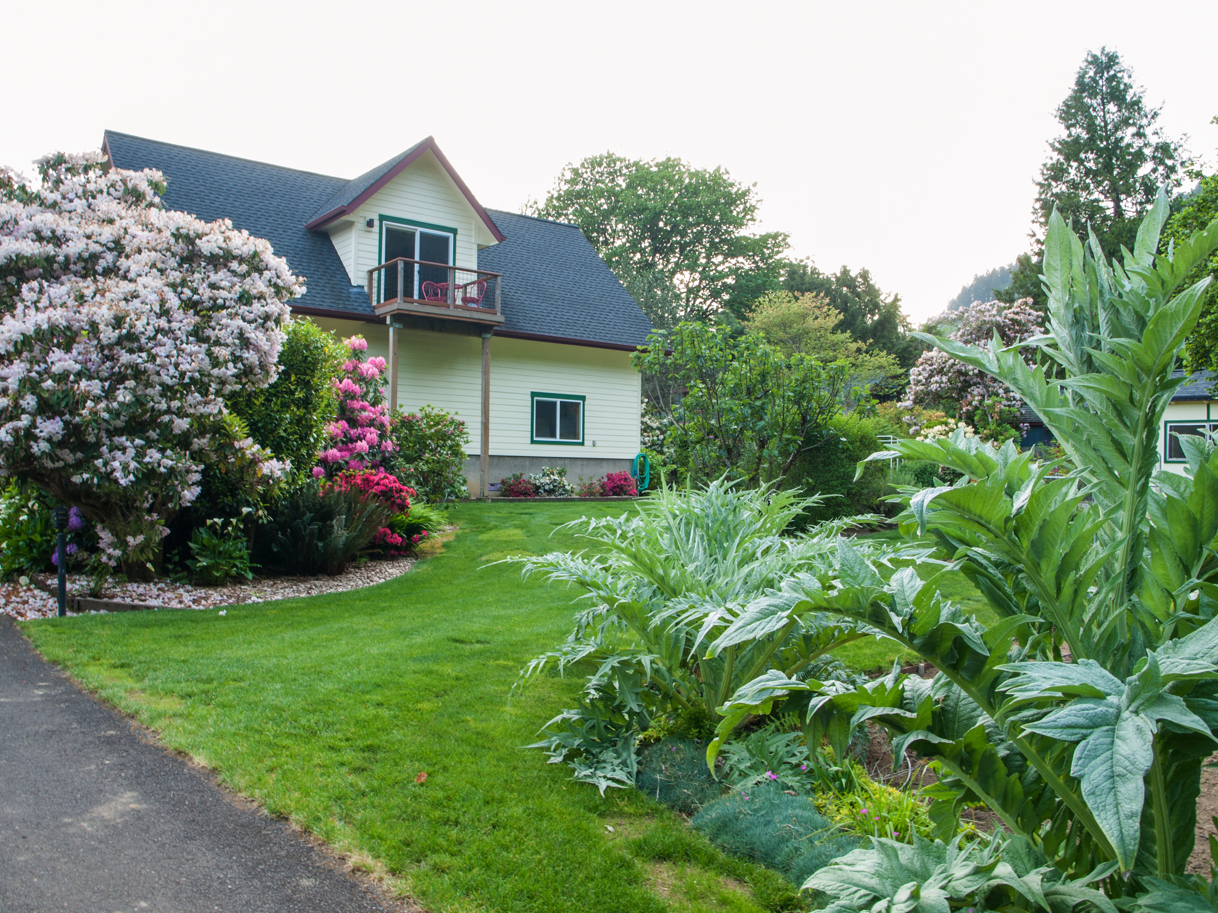  We have fruit trees, flowers, a large garden, chickens and a large lawn in our front yard. 