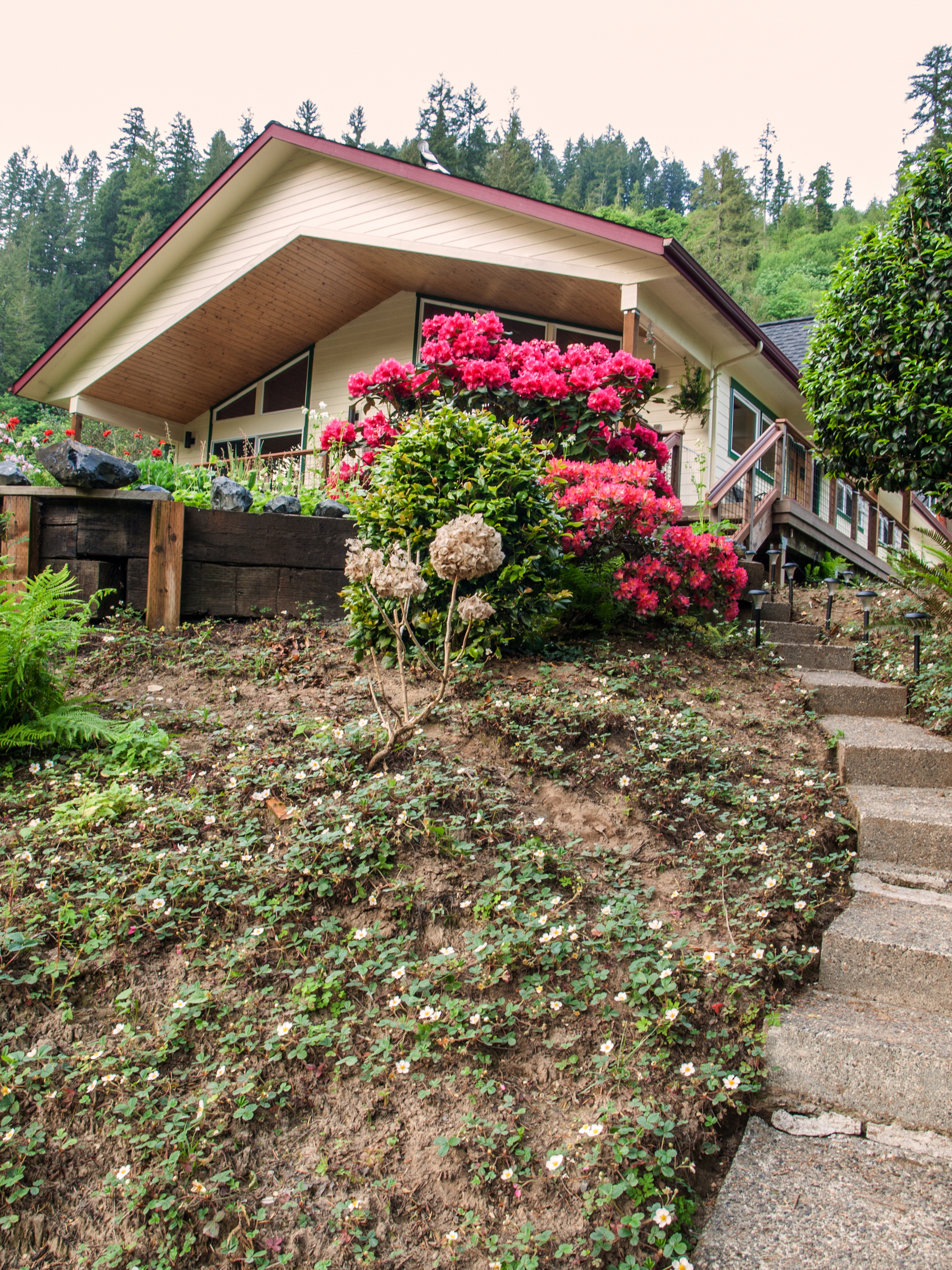 Steps from the back patio lead you down to the dock ramp.
