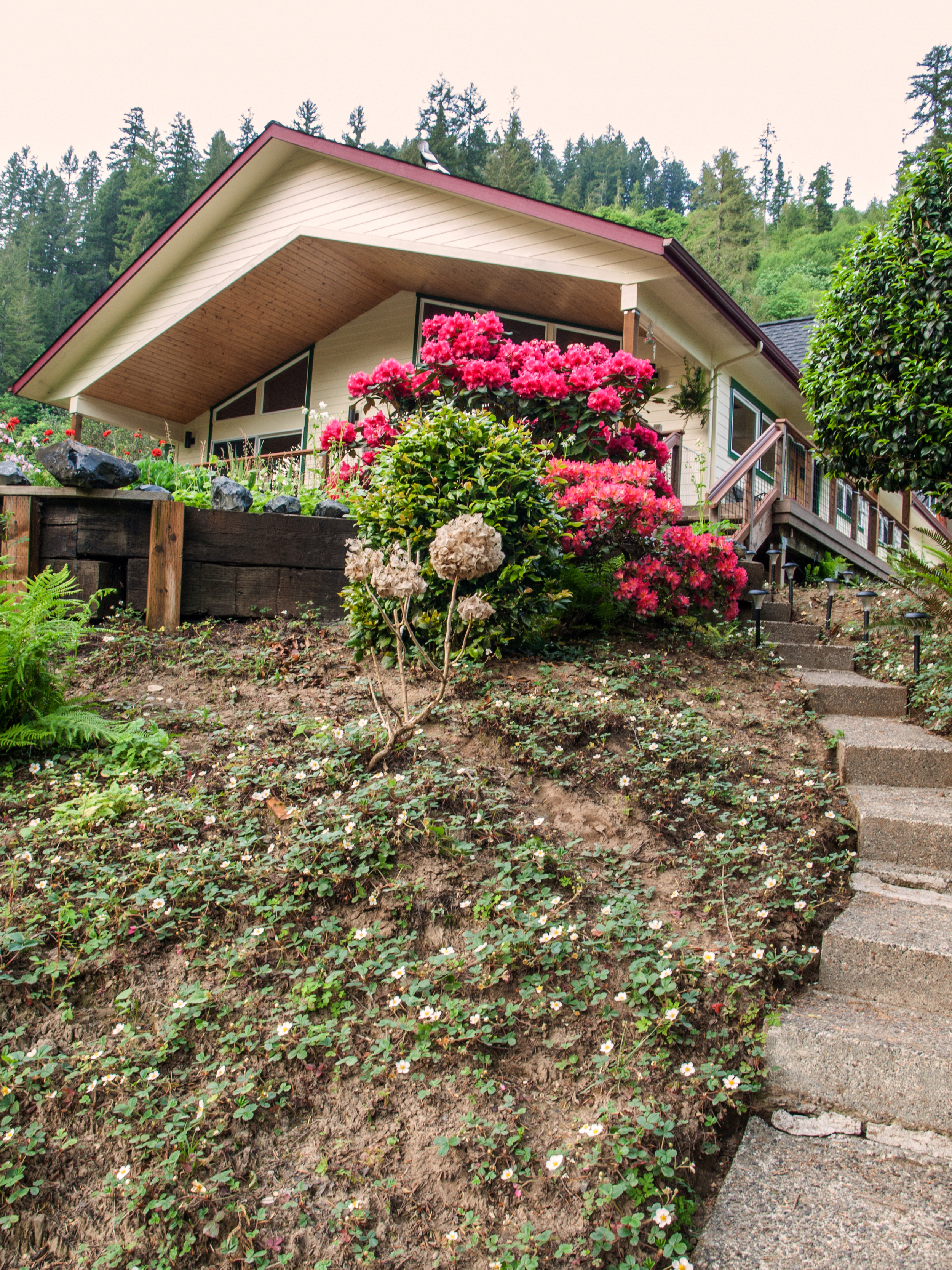  Steps from the back patio lead you down to the dock ramp. 