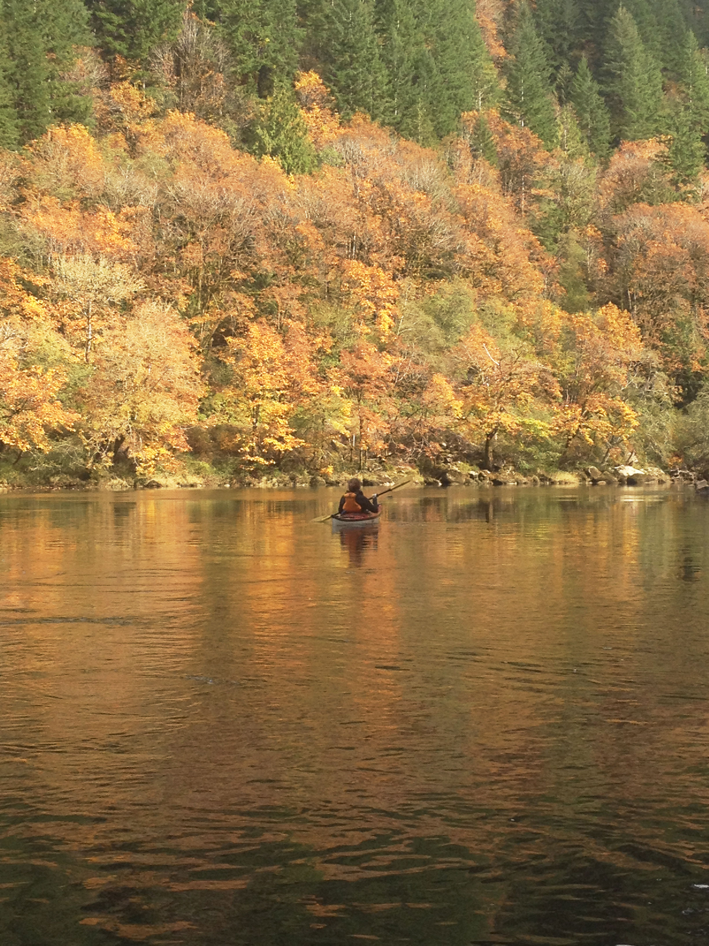 Fall colors on the river.