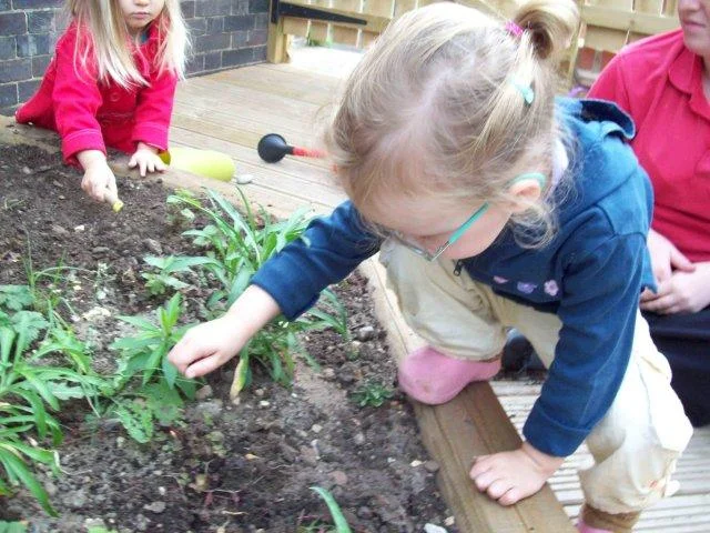 The Planting Garden Children learn to plant and harvest vegetables and herbs. Later, they help prepare and to cook the food they have grown