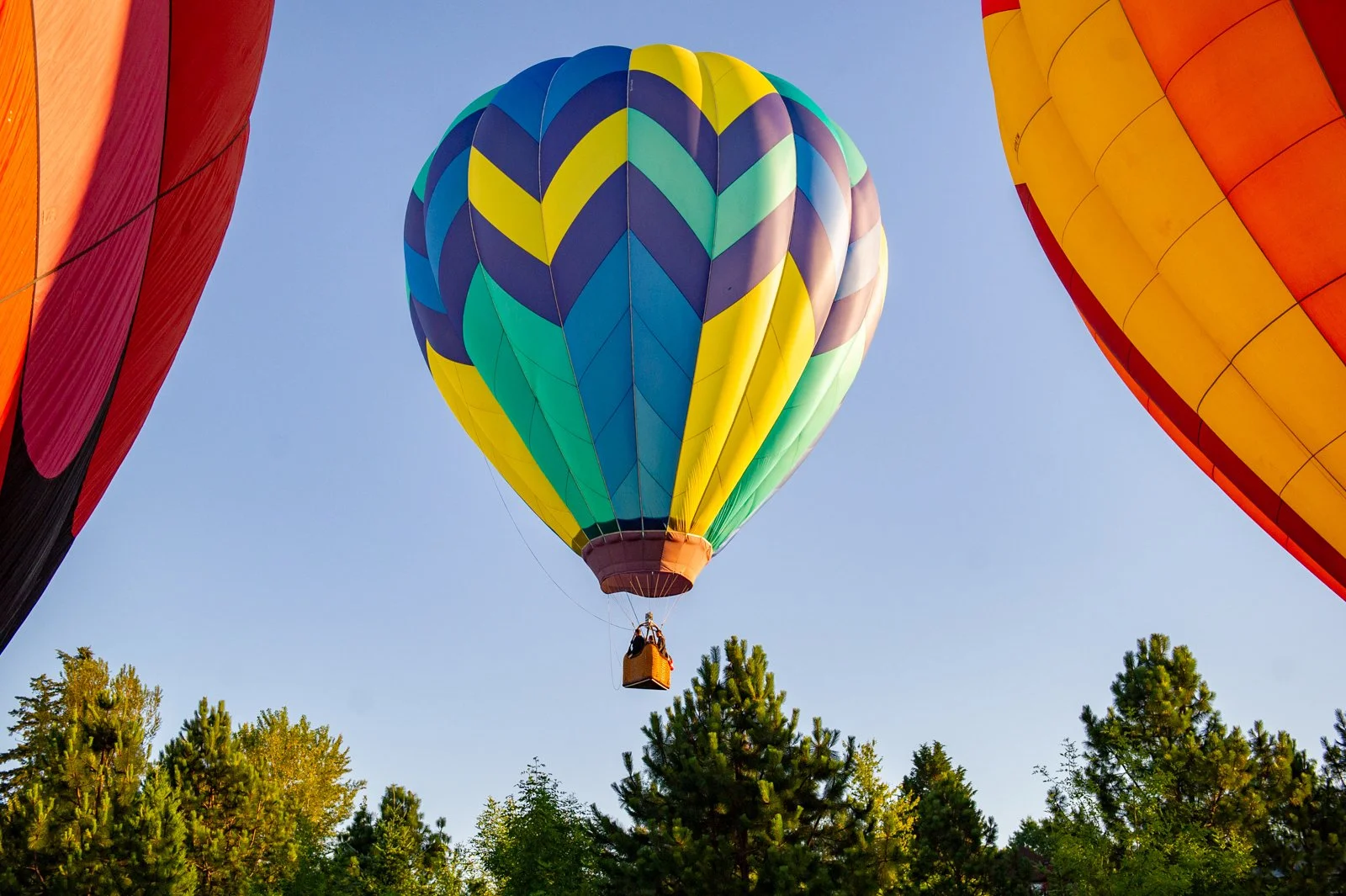 20220624_006_TigardFestivalOfBalloons_FirstFlight_web_byDiegoGDiaz.jpg