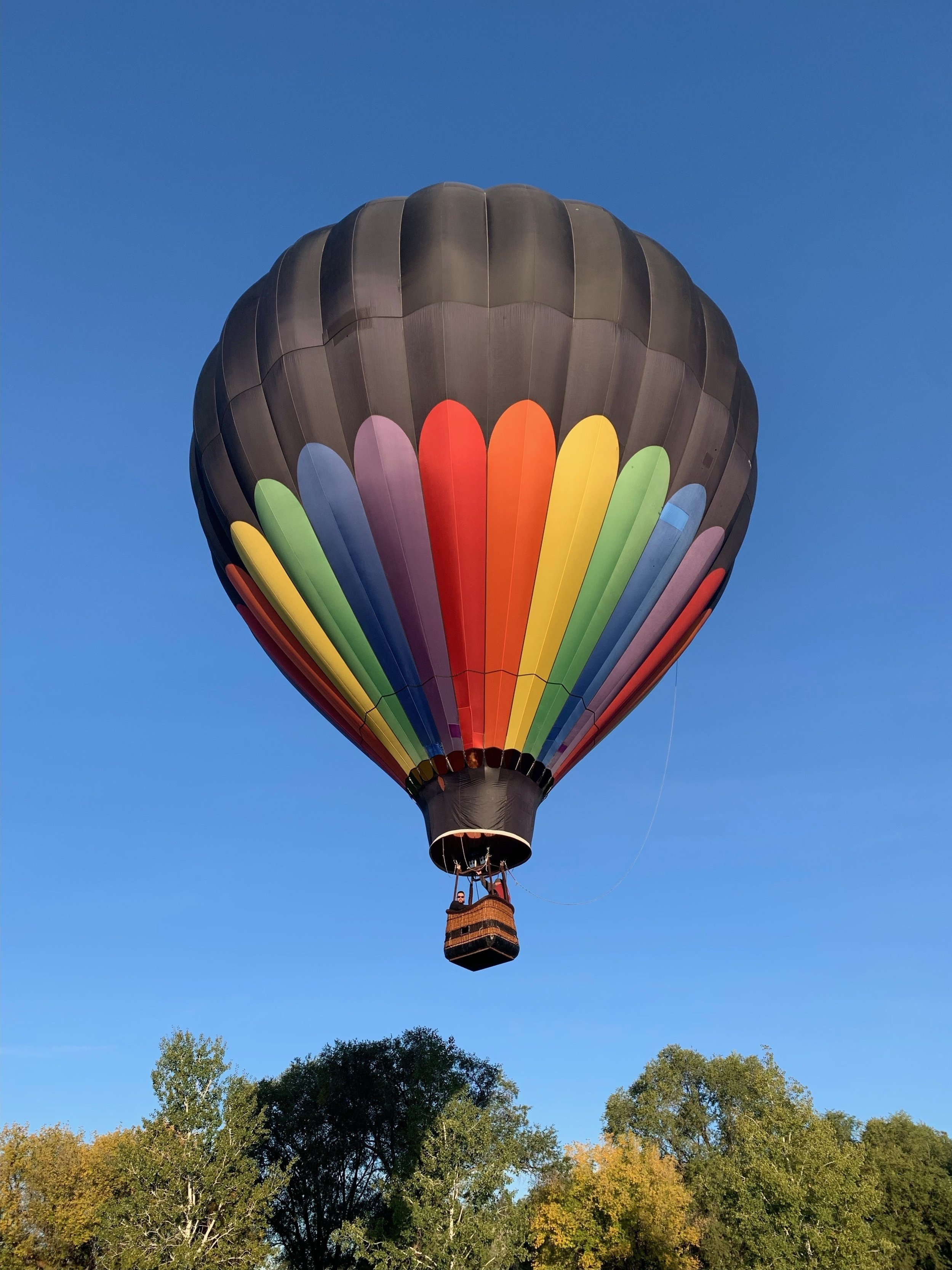BALLOONING 101 — Tigard Festival of Balloons