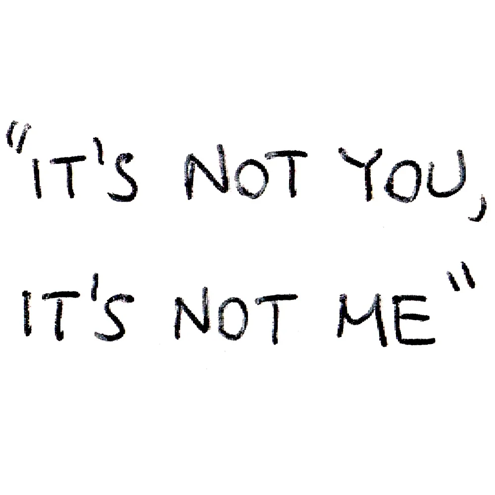 IT'S NOT YOU, IT'S NOT ME.jpg