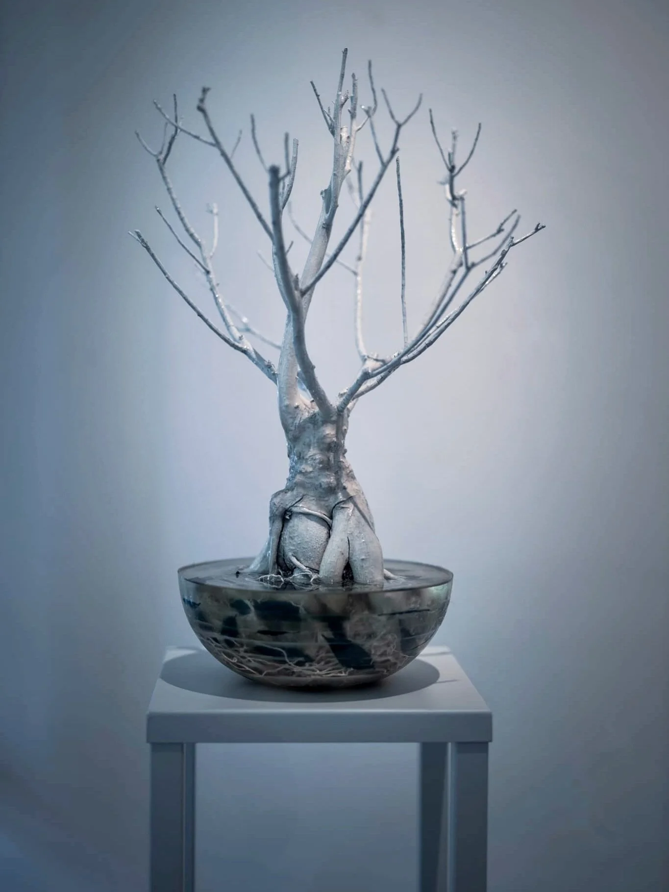 &ldquo;Mother&rdquo; (2025)
Mixed media sculpture | Resin, dead tree, Acrylics 

Unveiled for the first time at the Steinfort show, Mother is a meditation on resilience, rootedness, and quiet strength. Preserved in a translucent half-sphere, the blea