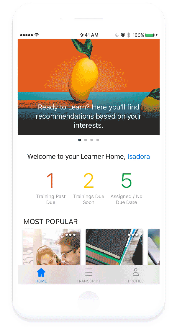 In order to bring the app to the market as soon as possible, we decided to take advantage of Apple's native controls as much as possible. You can see an example of this with the Tab Bar on the bottom.