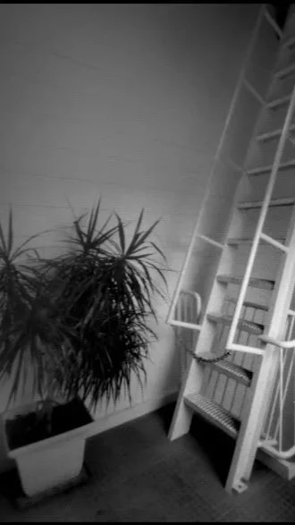 Making and Using a Pinhole Camera