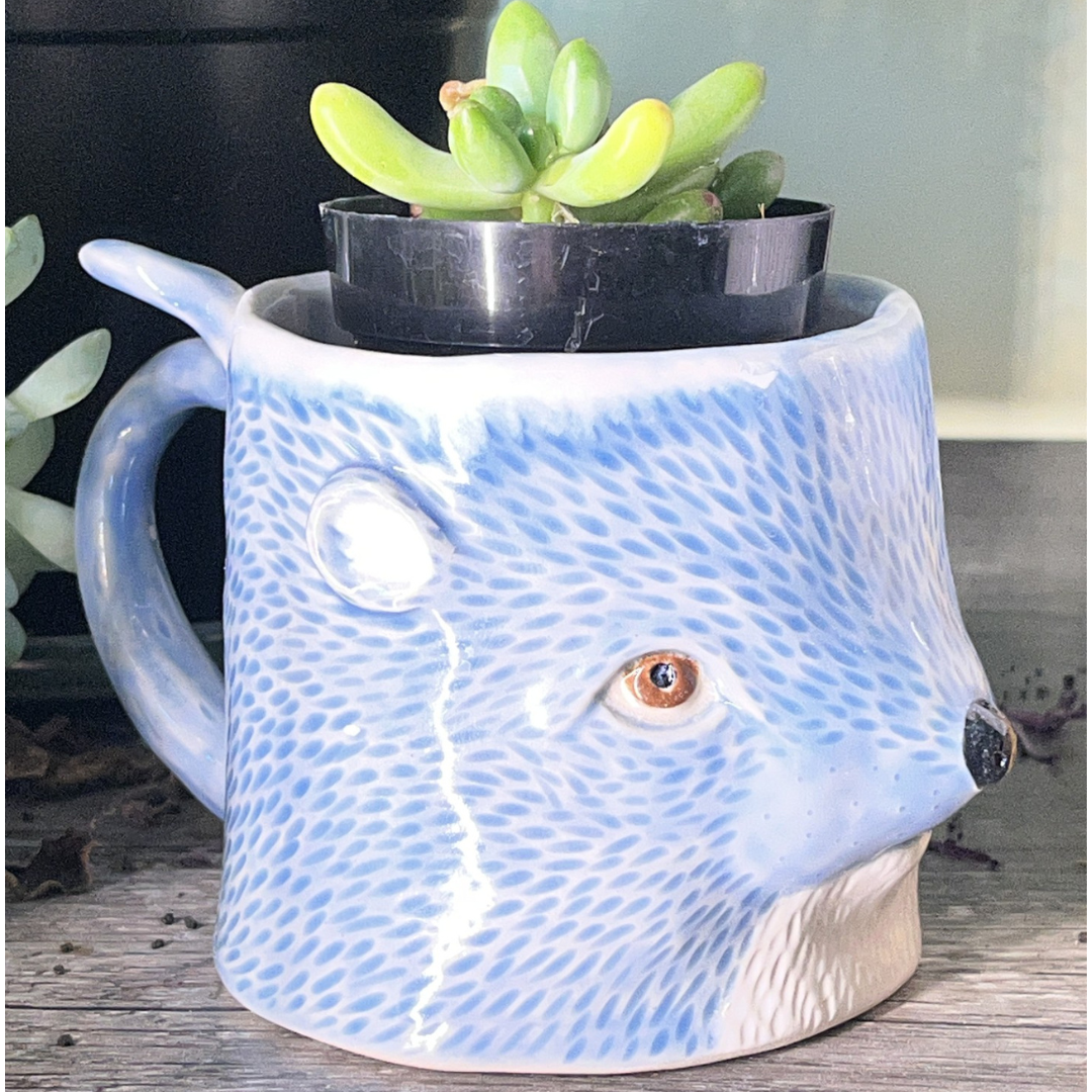 Animal Mugs w/ Craig Clifford (March 14)