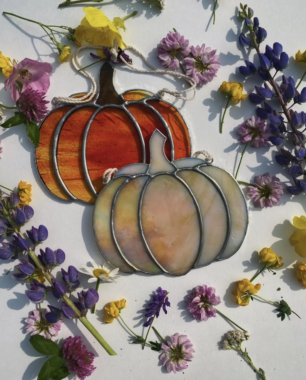 pumpkin class.jpg