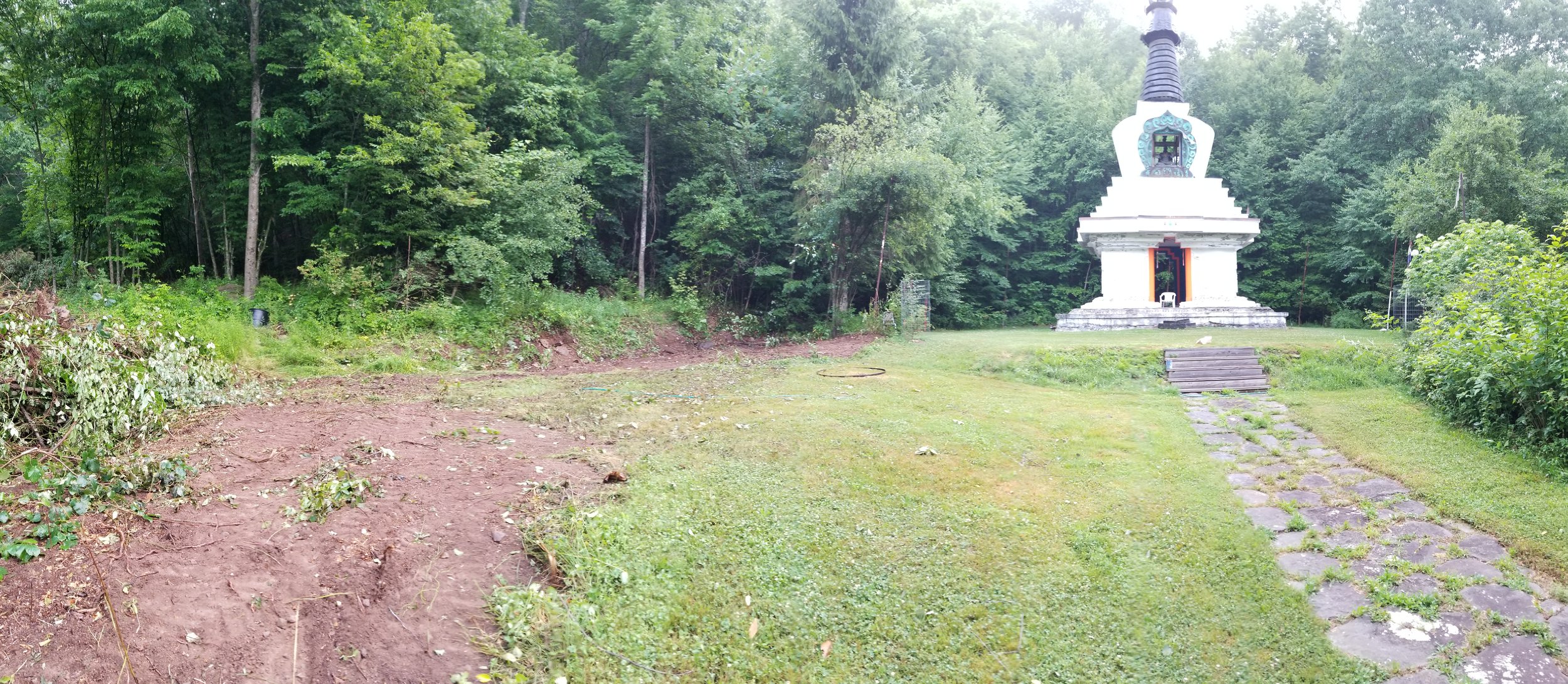 20190717_065120.jpg