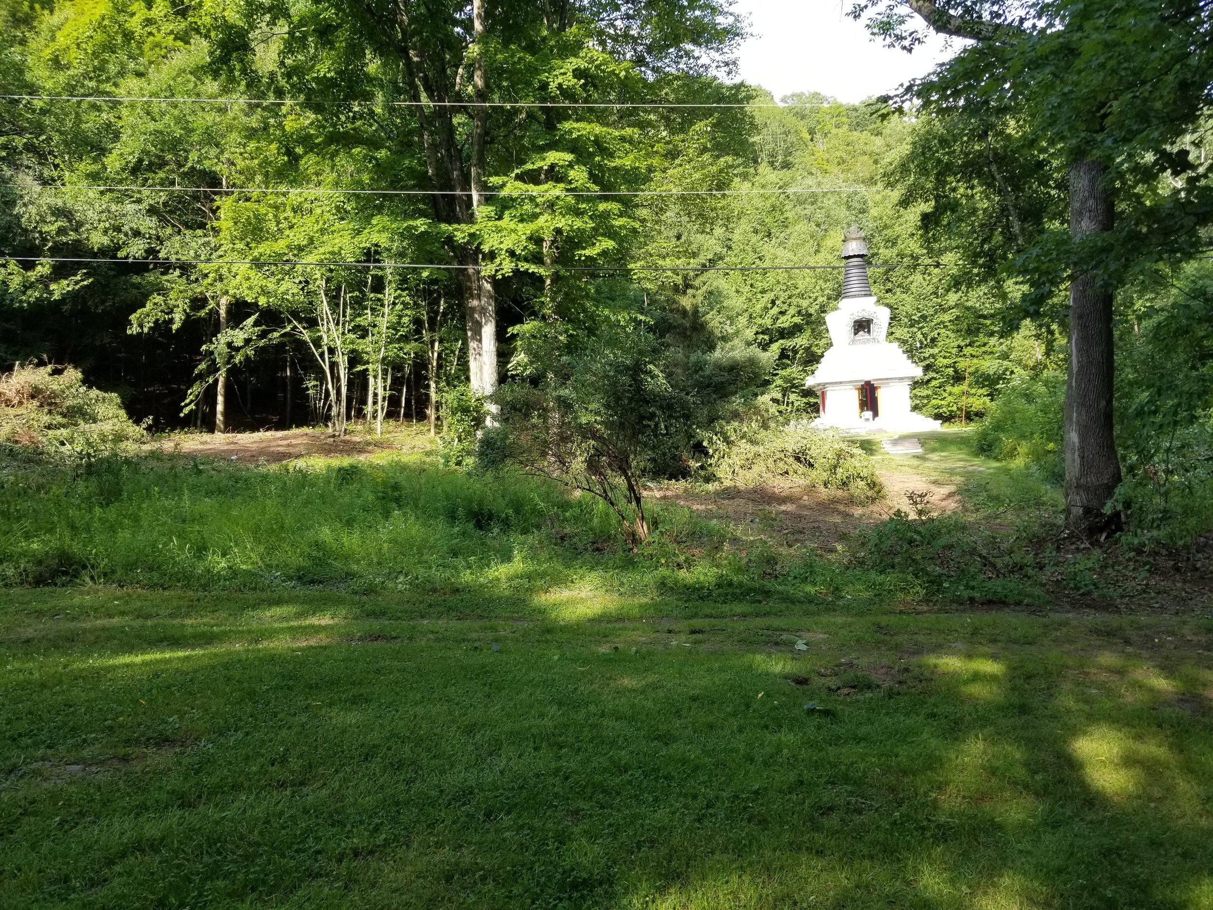 20190716_172234.jpg