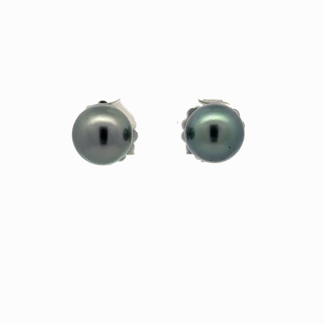 ER Tahitian Pearl Studs (9mm)