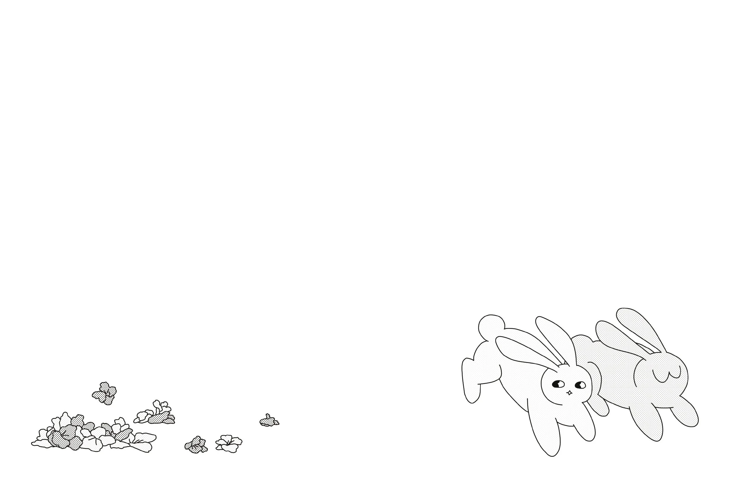 Gladiolus_InteriorCover_FINAL(spreads).jpg