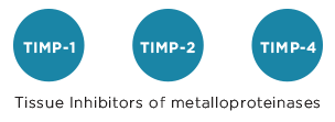 MMPIcons-01-01.png