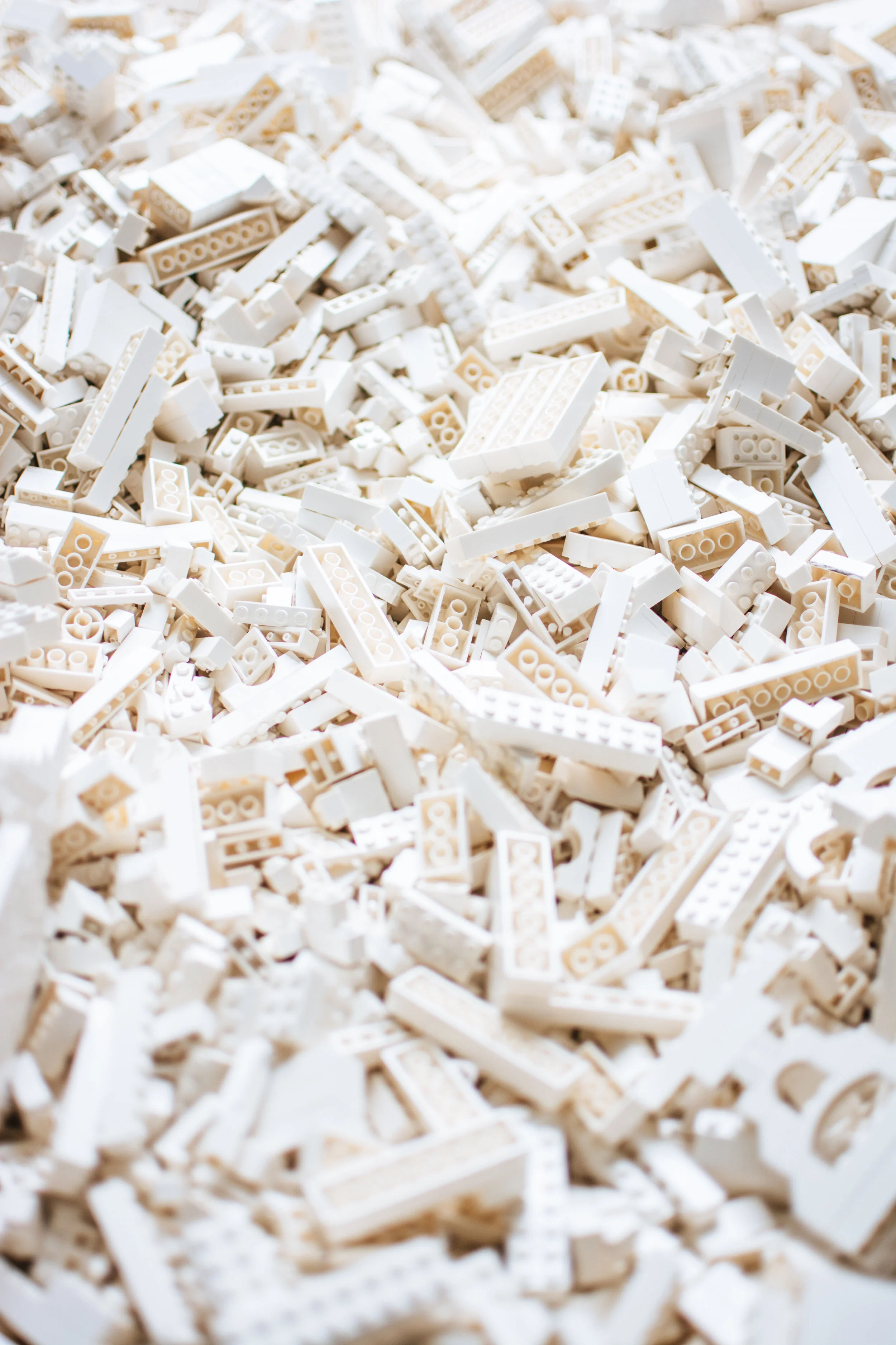 Bingo &amp; Brickfest