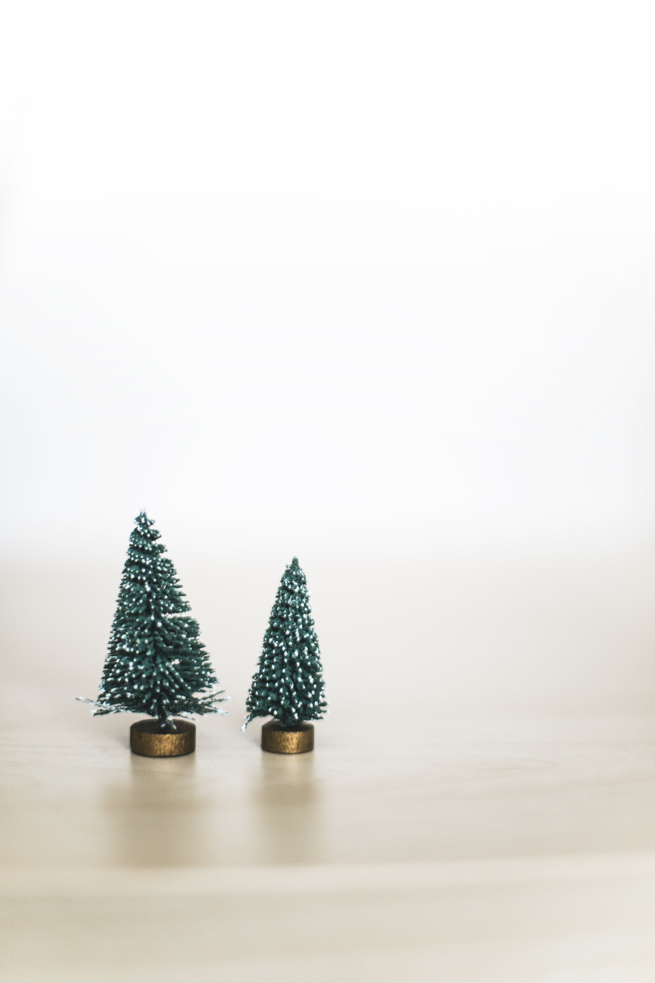 Christmas in Connecticut and Other Adventures