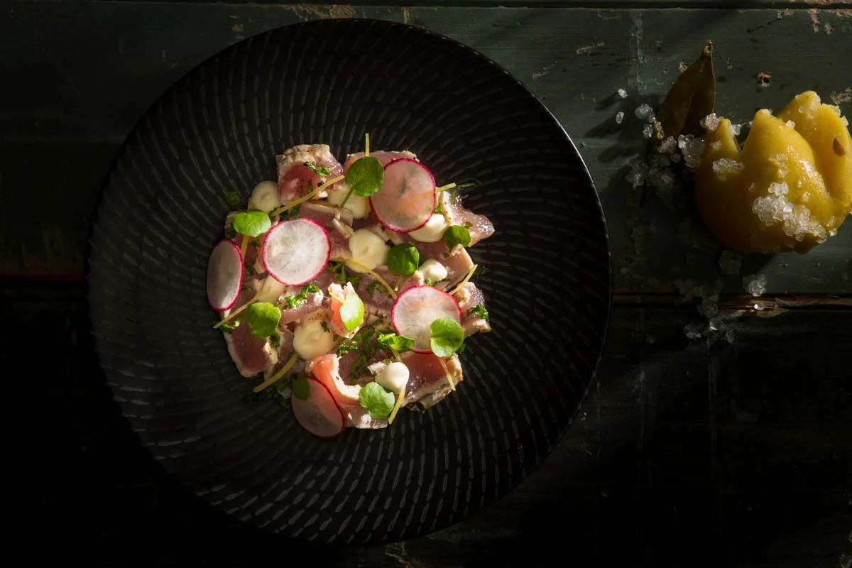 Torn grilled Yellow Fin Tuna with mayonnaise, preserved lemon, radish and fresh herbs