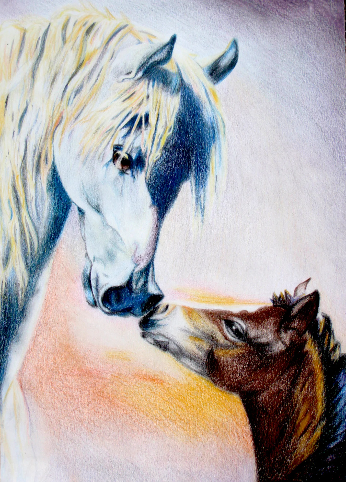 colored pencil | 2010