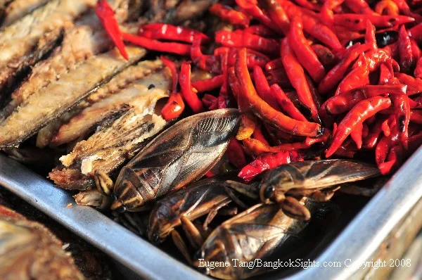 Memoirs of an Entomophage