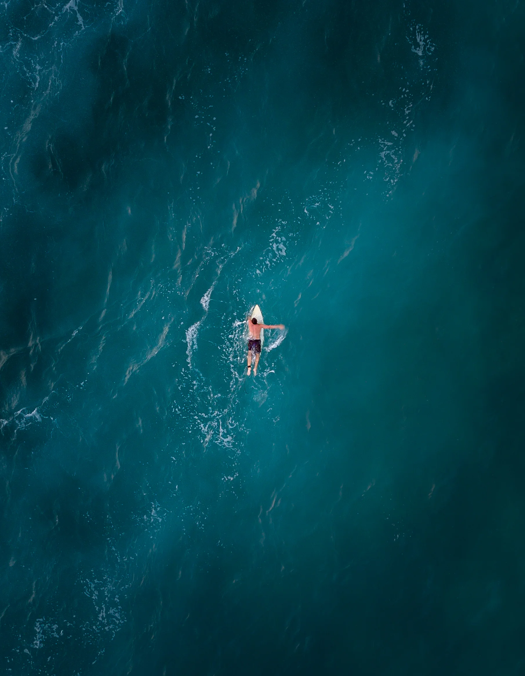 lostboardFlickr.jpg
