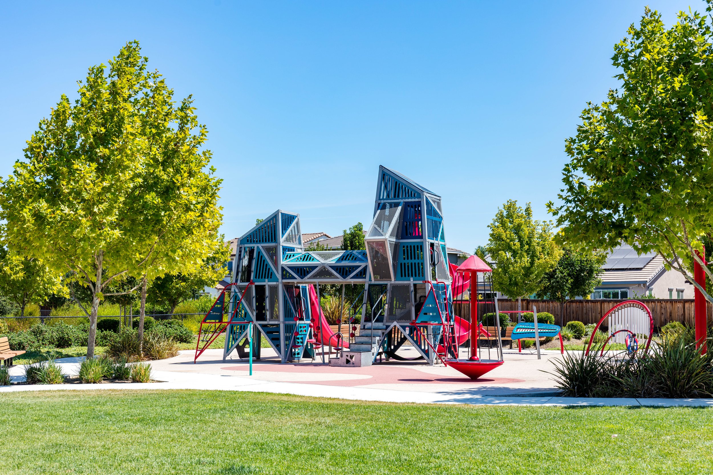 brentwood_park_sycamore3.jpg