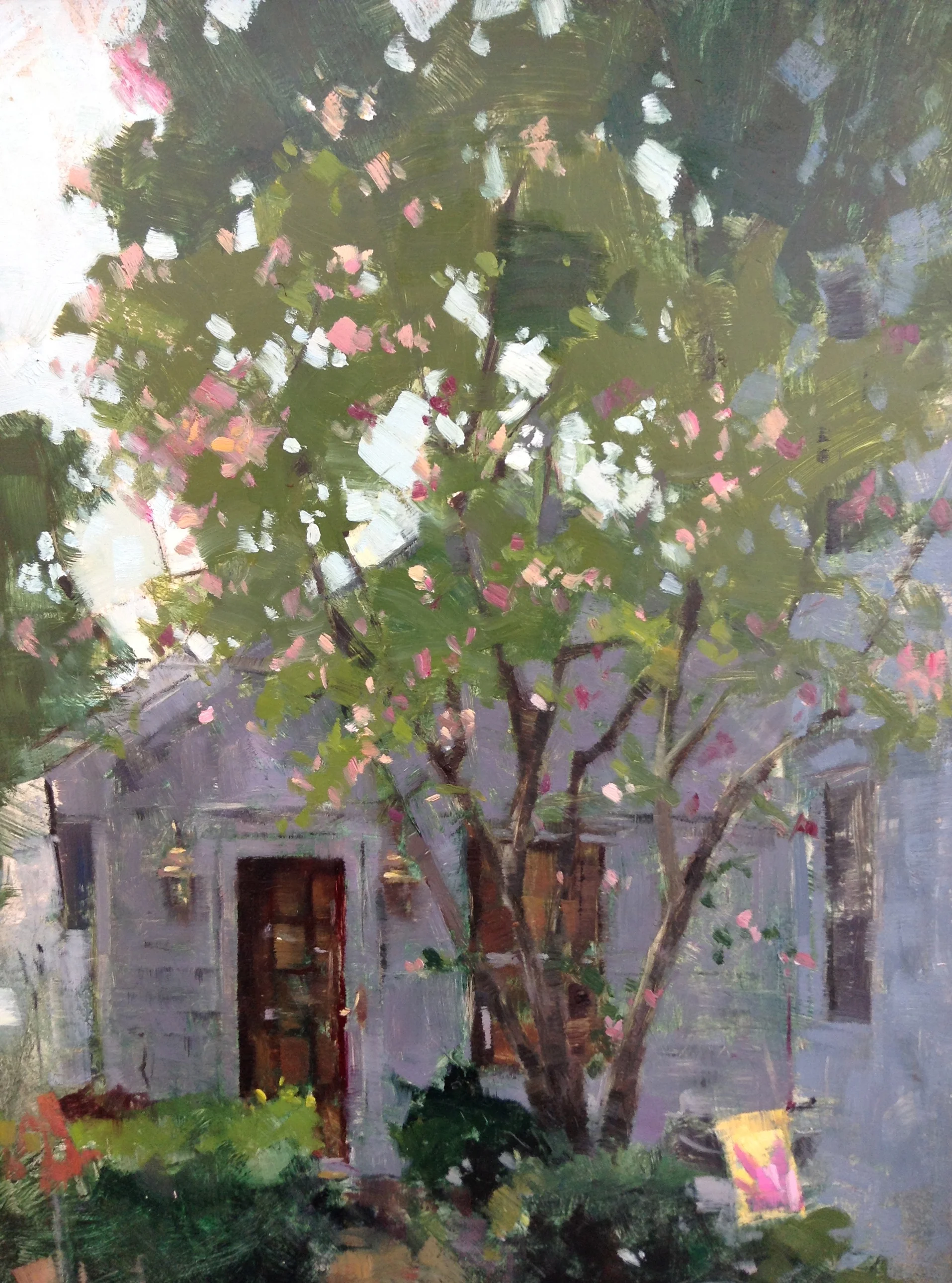 UnderTheMagnoliaTree.jpg