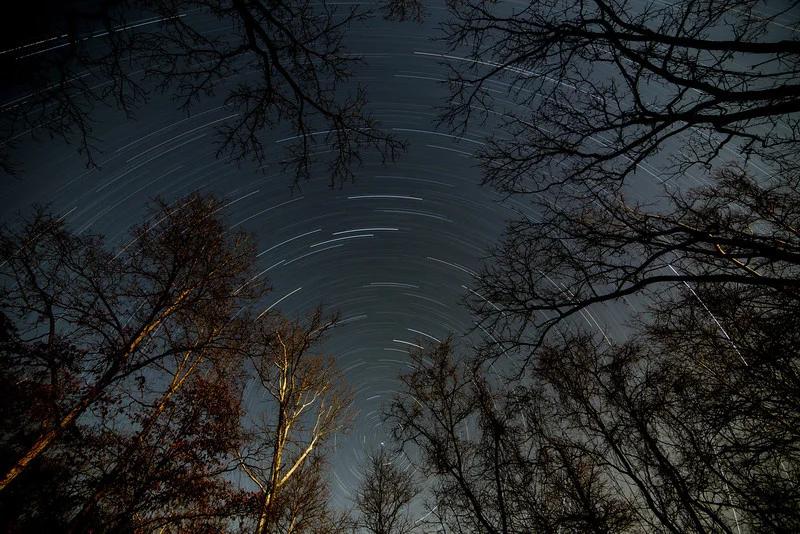 StarTrails DanEsarey.jpg