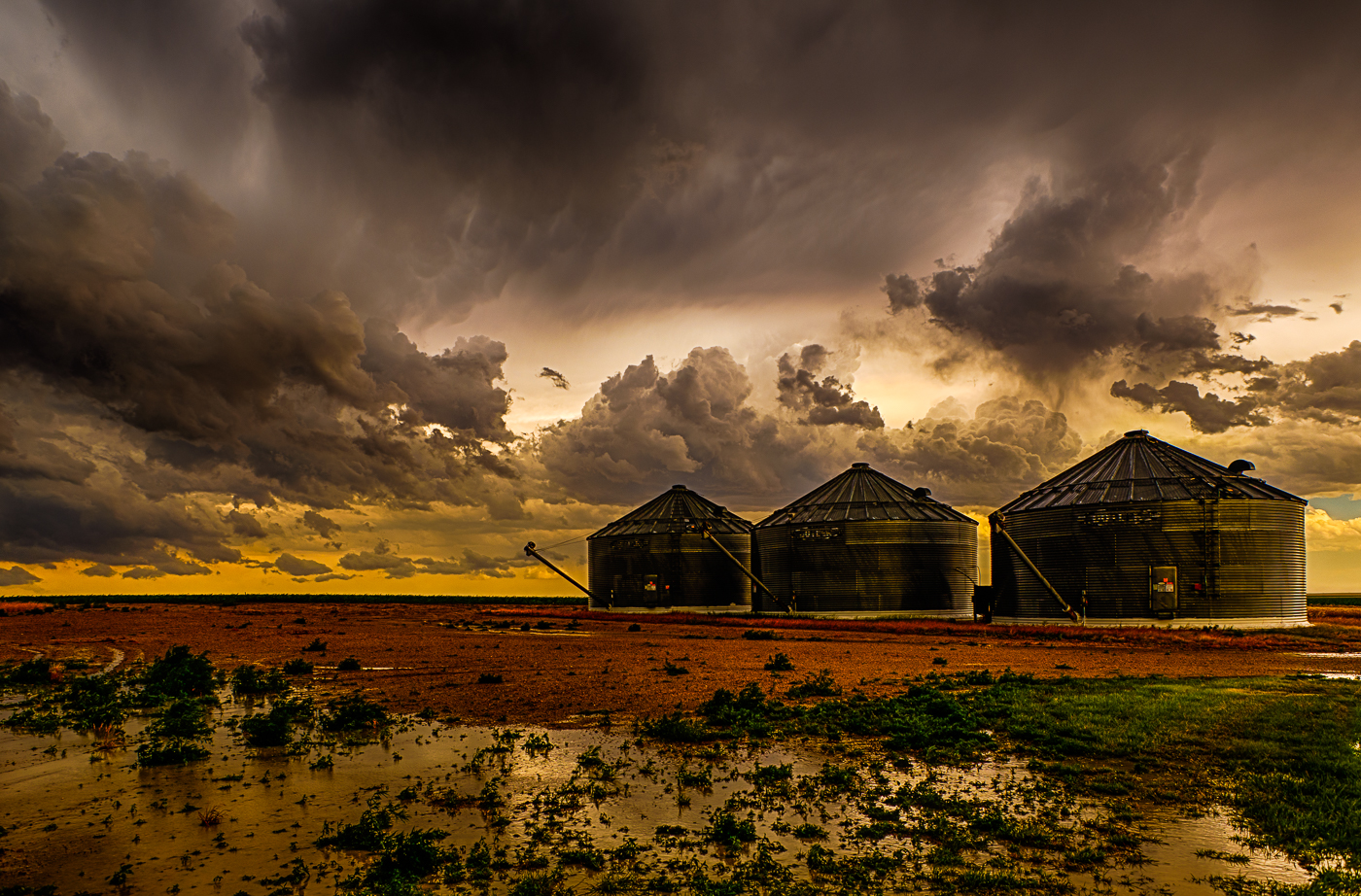 Grain Bins After the Storm
