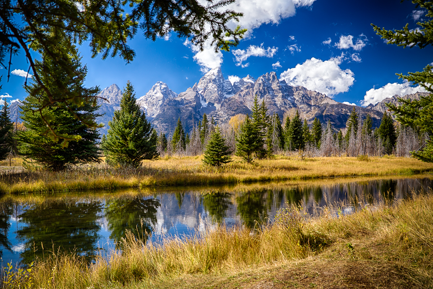 Pond Near Schwabacher Road 