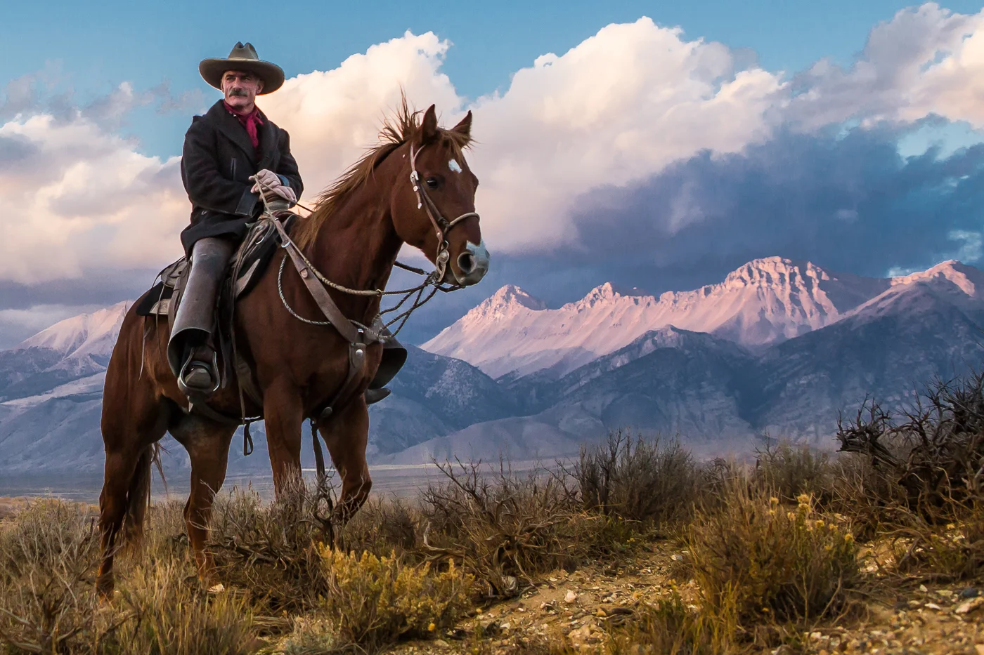Rider of the Old West