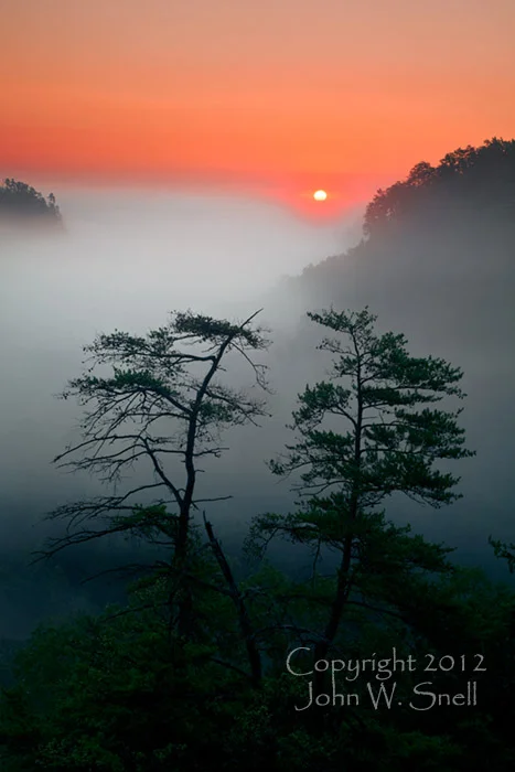 twotreesatsunrise john snell .jpg