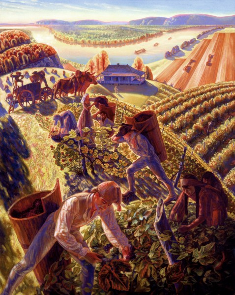 Ste. Genevieve Wine Harvest