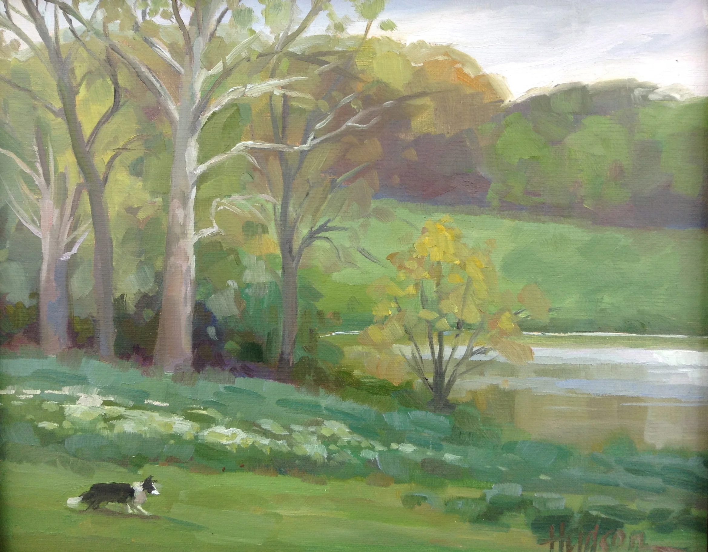 Spring at Vineyard Hill