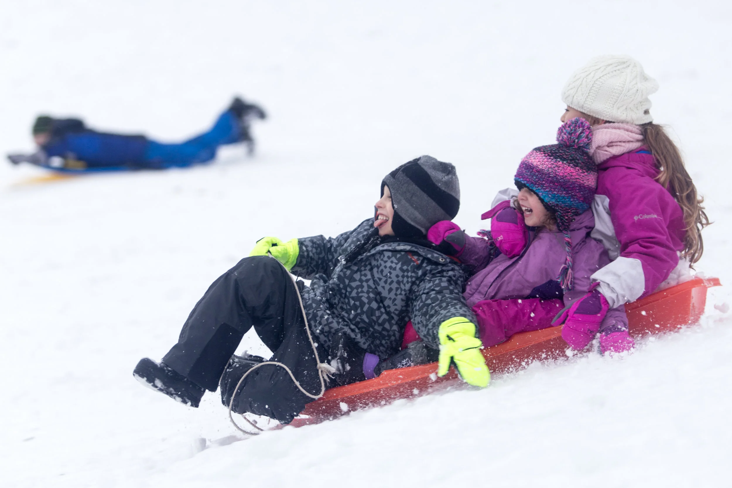 Siblings (from left) Yuval, 7, Amit, 4, and Itay Gelbmab, 7, of Israel, sled down a hill in Amory Park, Brookline, Mass., Dec. 17, 2016, while enjoying their first New England winter since their family moved to Brookline this year. 