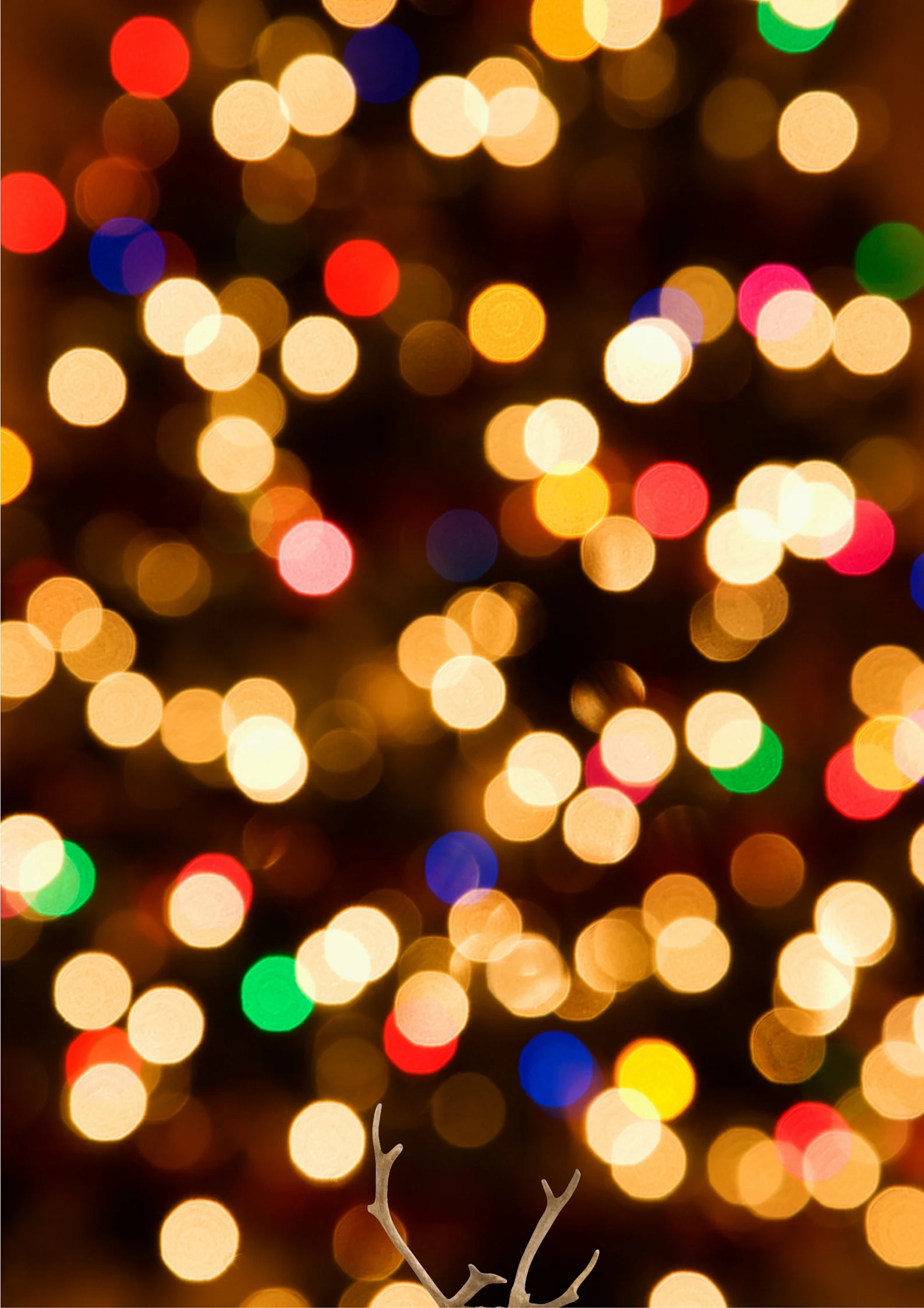 Christmas superpowers and Believing in Blitzen.jpg