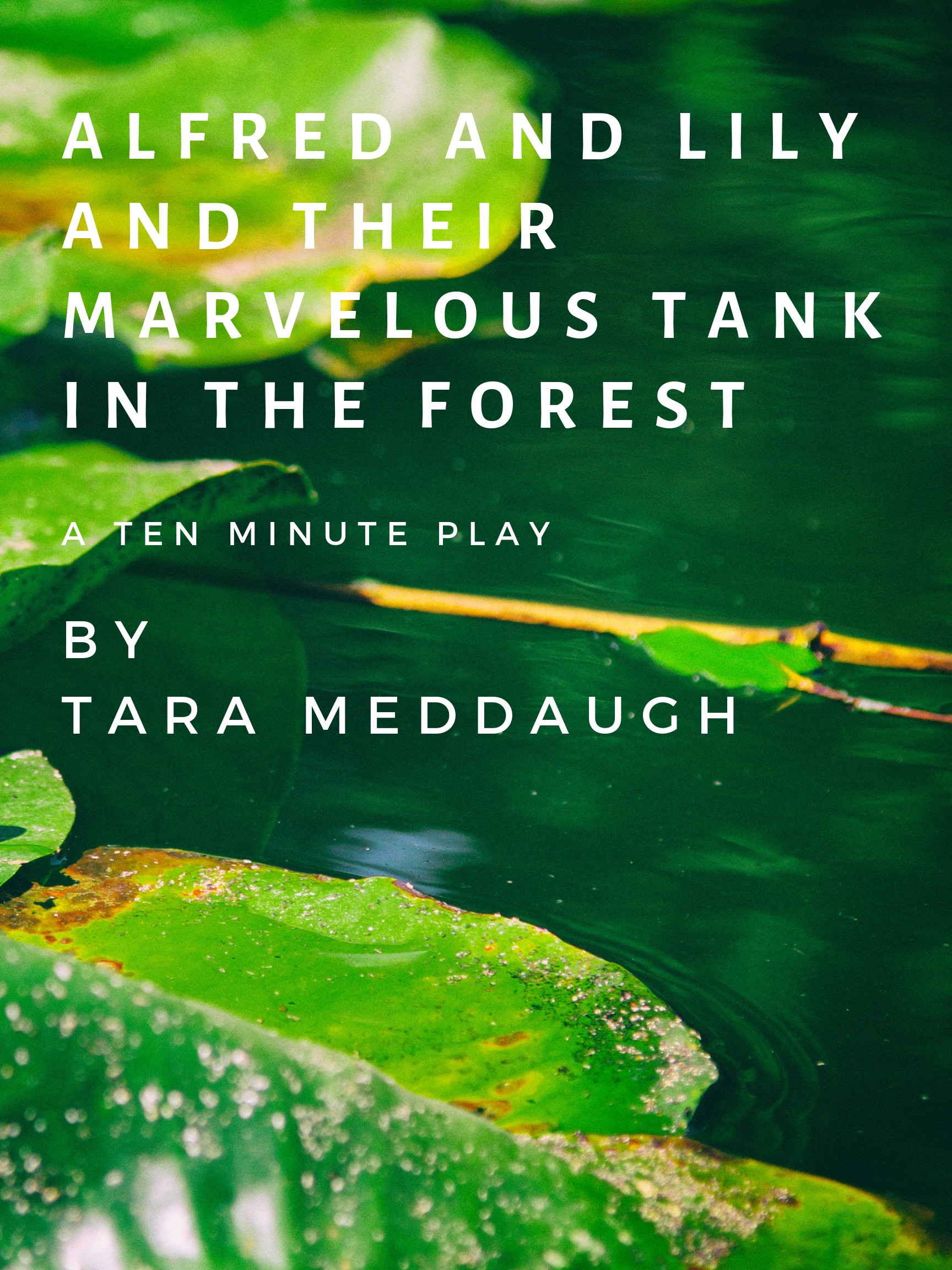 Alfred and Lily And Their marvelous tank in the forest.png