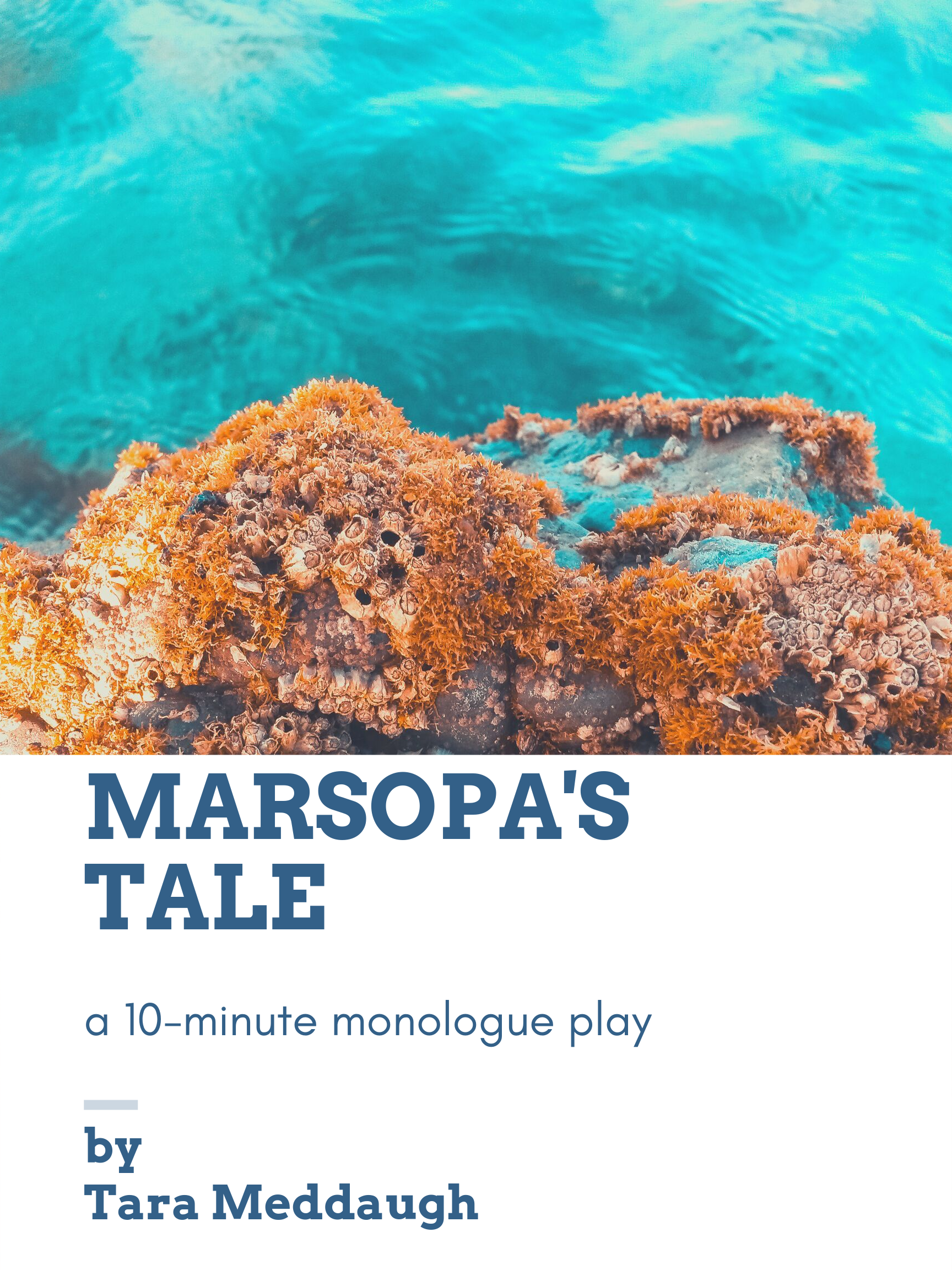 marsopa's tale cover.png