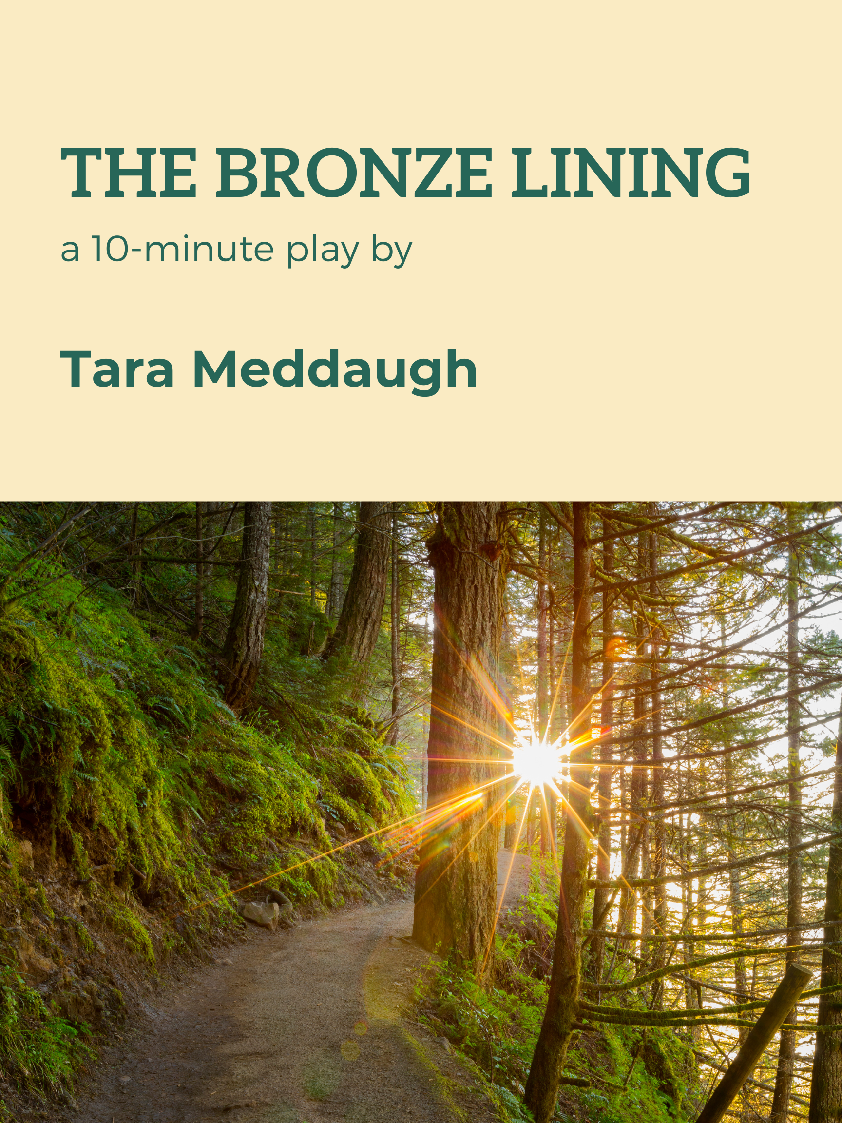 The Bronze LIning.png
