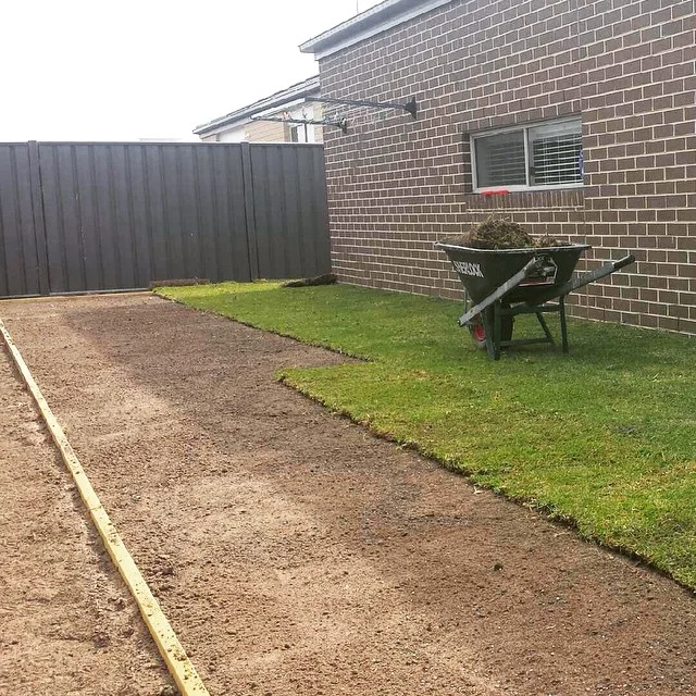 Starting off the week with 60 m2 of kikuyu turf.