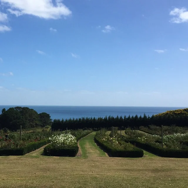 Epic views at Morning Star #grazethebays #rosegarden #morningstar