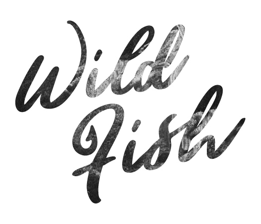 wildfish_logo-03.jpg