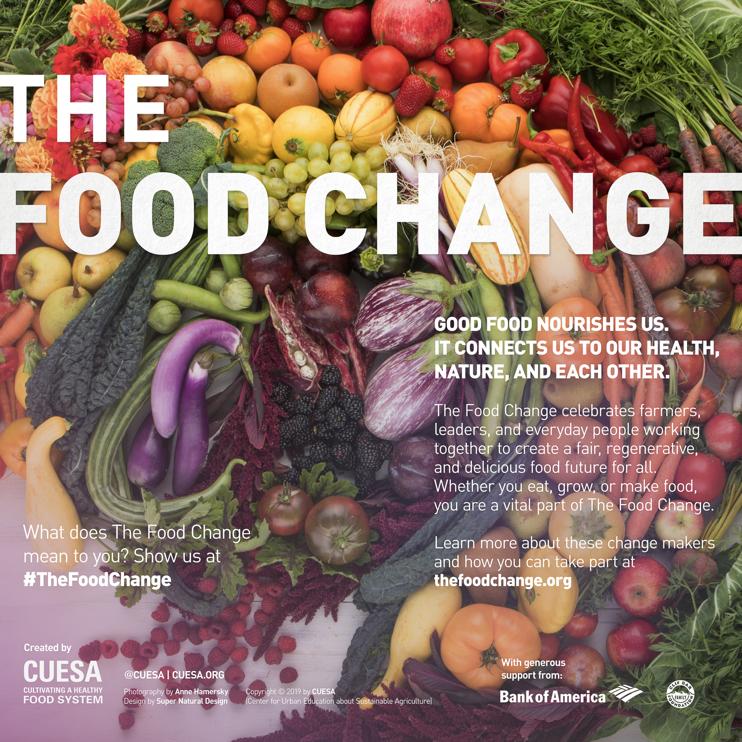 anne-hamersky-thefoodchange.jpg