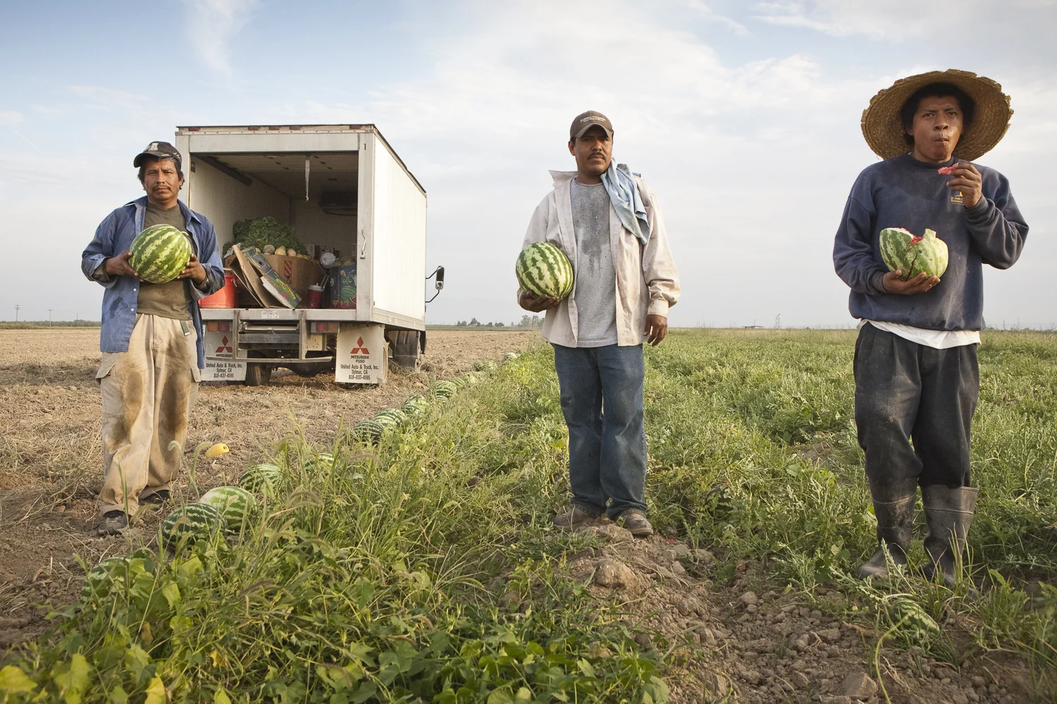 37_annehamersky-farm-together-now-chronicle-books.JPG