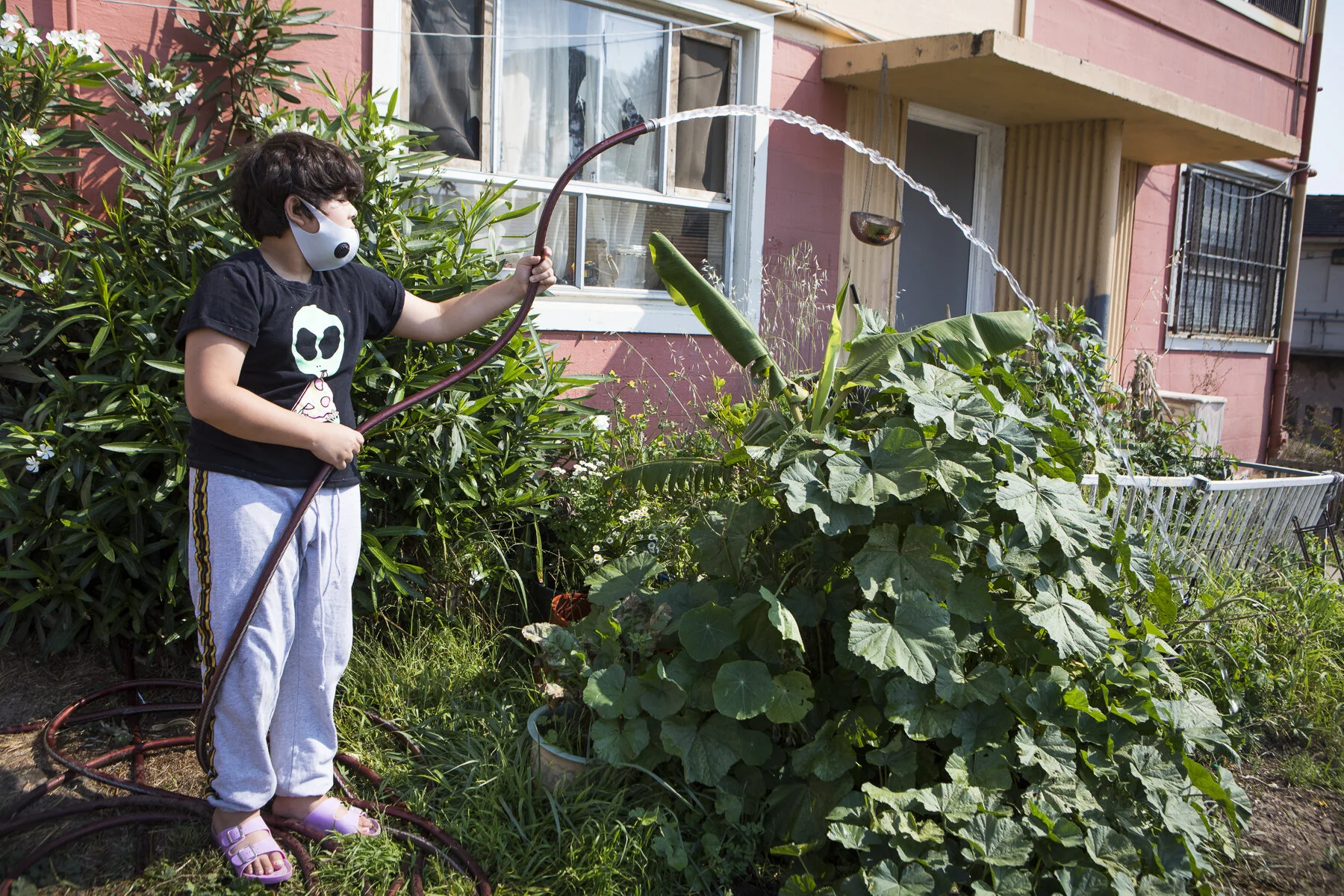 AnneHamersky_20011_UrbanSprouts_1196.JPG