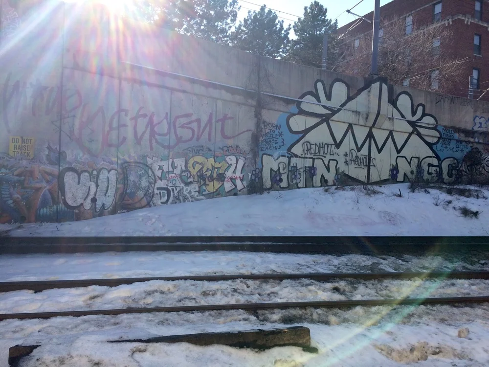 IMG_8193.jpeg