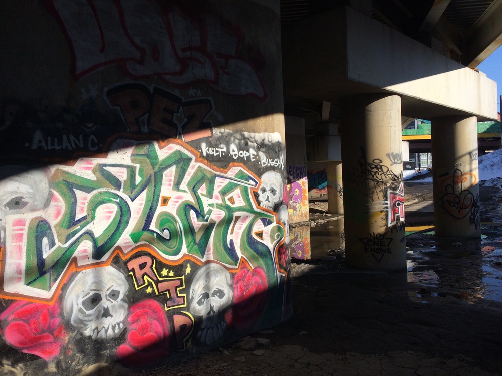 IMG_8203.jpeg