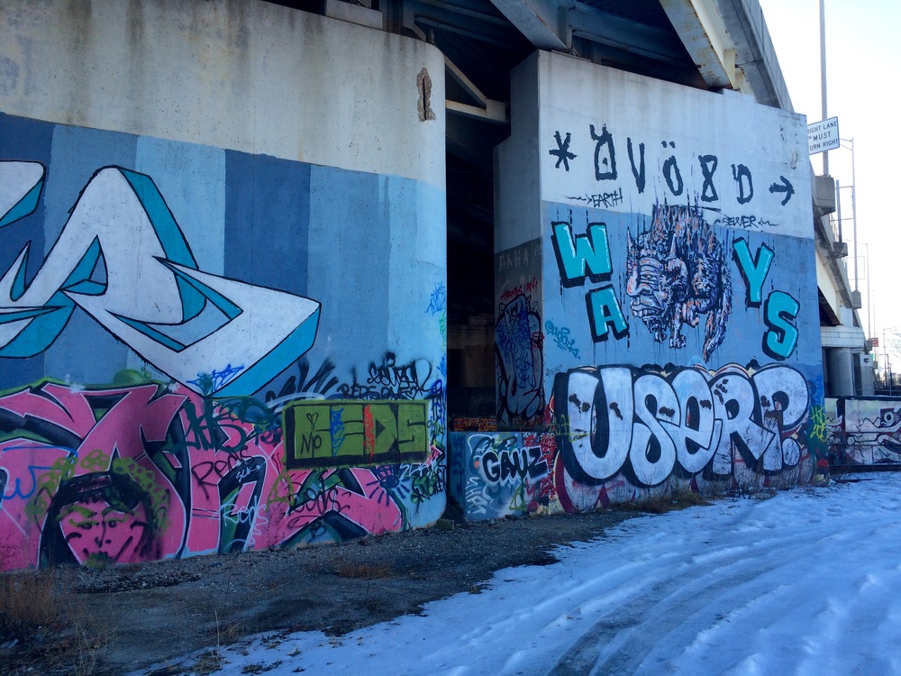 IMG_8249.jpeg