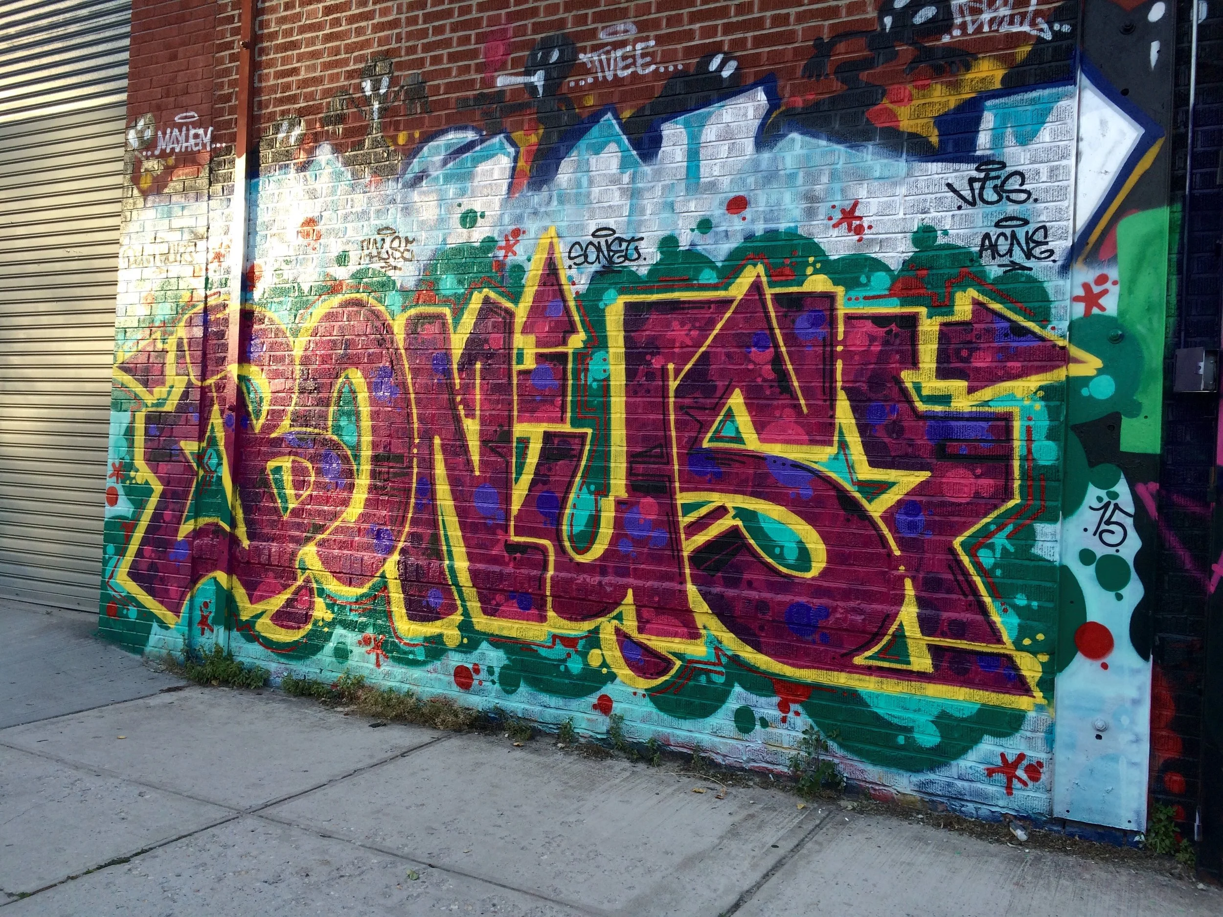 IMG_3673 - Copy - Copy.JPG