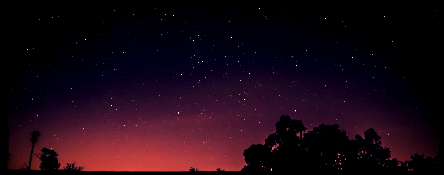 night sky with silhouettes.jpeg